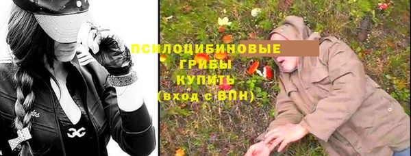 ПСИЛОЦИБИНОВЫЕ ГРИБЫ Тихвин