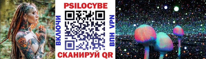Купить где  Вытегра  Псилоцибиновые грибы Cubensis 